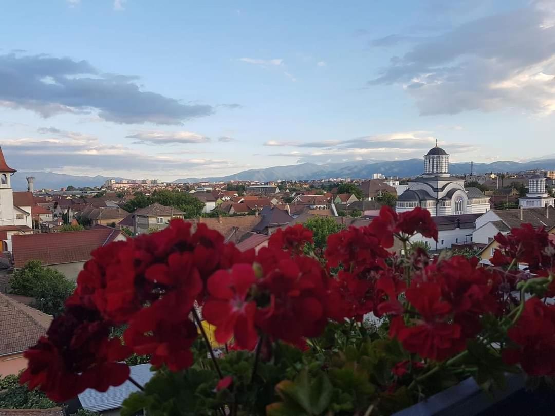 Sibiu Bach Penthouseアパートメント エクステリア 写真